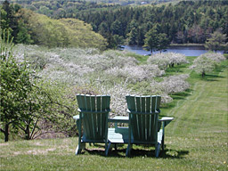 Clark's Cove Farm & Inn